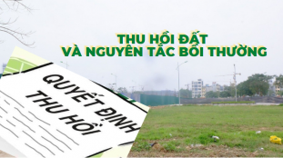 Đất giao cho người khác quản lý sử dụng thì khi bị thu hồi chủ đất có được bồi thường