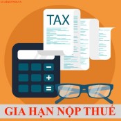 Gia hạn nộp thuế và tiền thuê đất cho doanh nghiệp