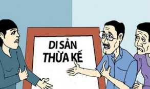 Đất đã được bố mẹ cho và sử dụng lâu dài thì có bị chia thừa kế không?