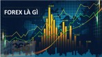 CÁC SÀN FOREX LỪA ĐẢO BỊ BẮT, CÁC “CHỦ TỊCH” VÀ MÔI GIỚI CHỊU TRÁCH NHIỆM GÌ?